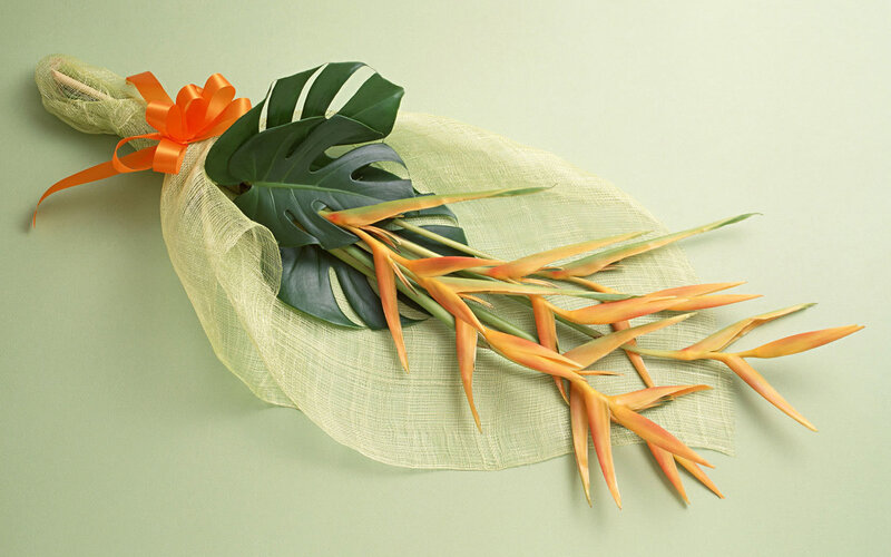 Tropical Flower Bouquet — Green, Calm