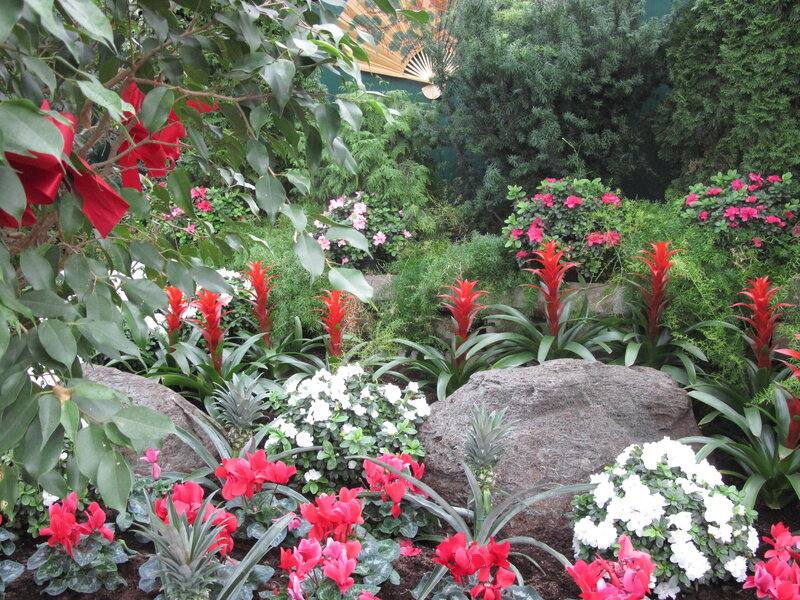 Tropical Flower Garden
