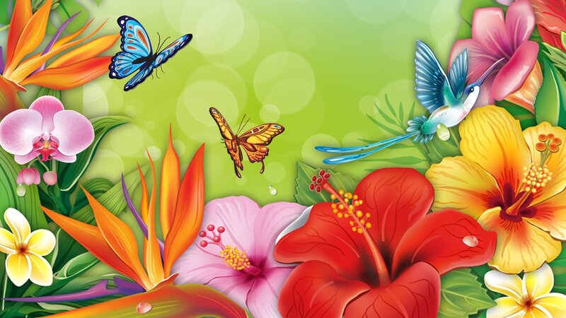 Tropical Flowers and Birds