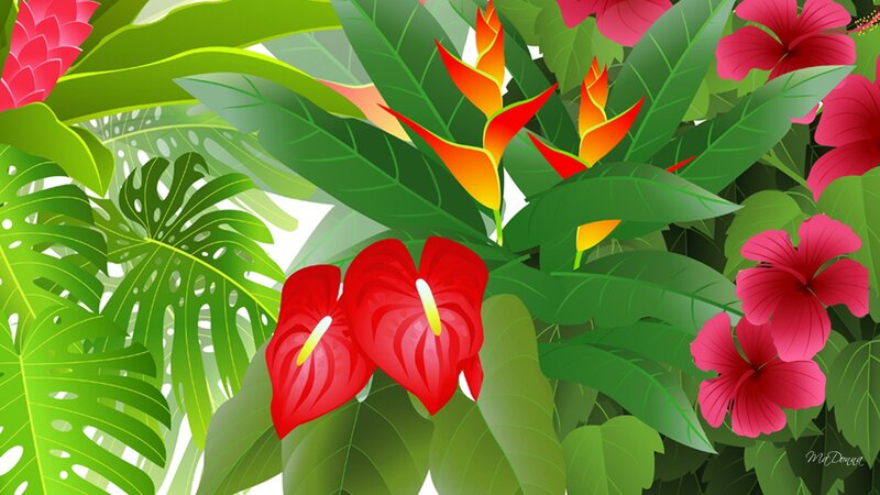 Tropical Flowers and Leaves