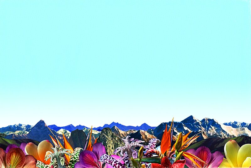 Tropical Flowers and Mountains
