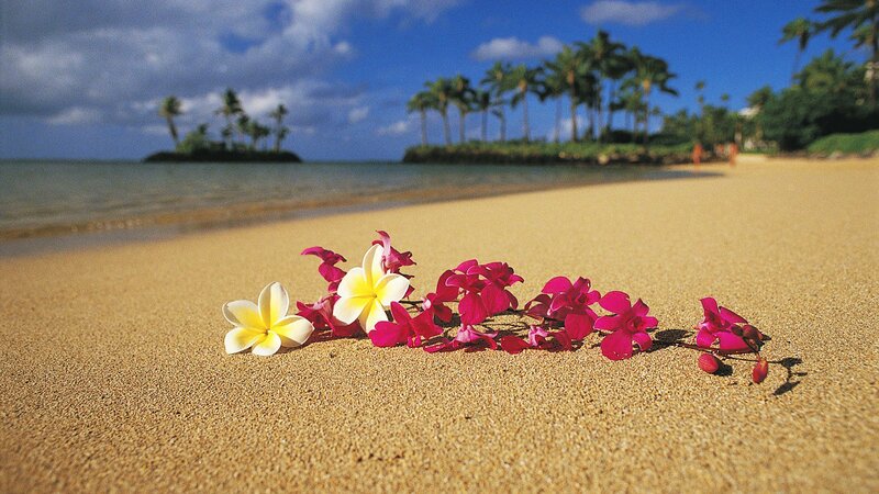 Tropical Flowers on Sand