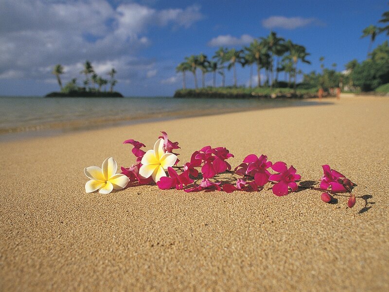 Tropical Flowers on Sand — Yellow