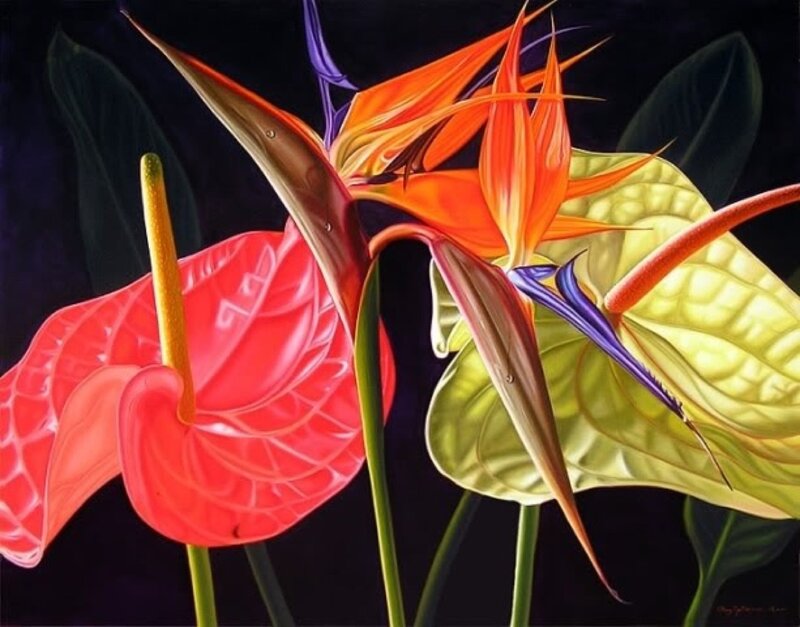 Tropical Flowers