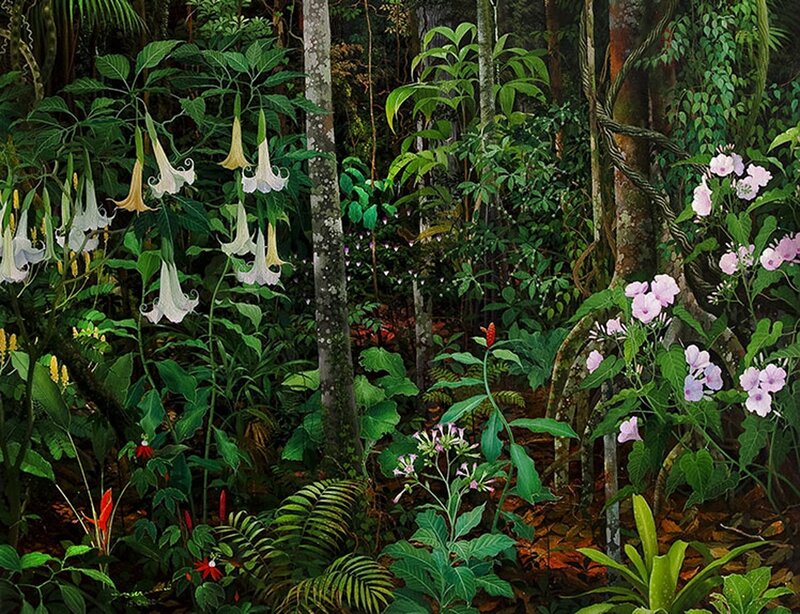 Tropical Forest Scene — Green, Lush