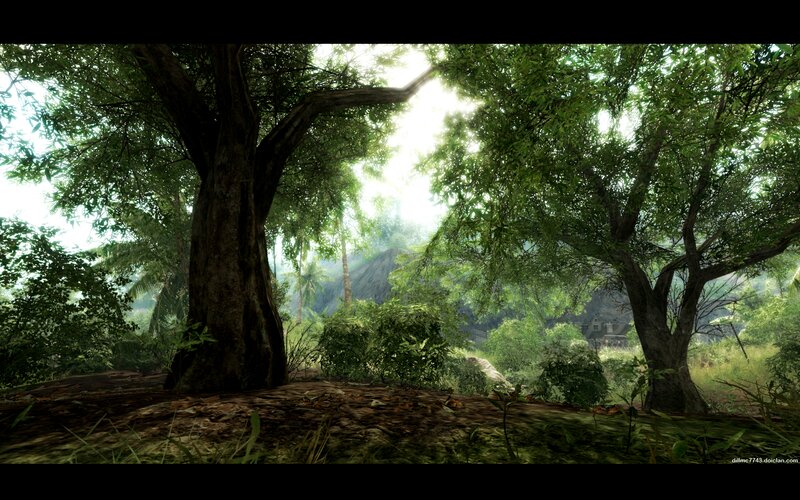 Tropical Forest Scene — Green, Serene