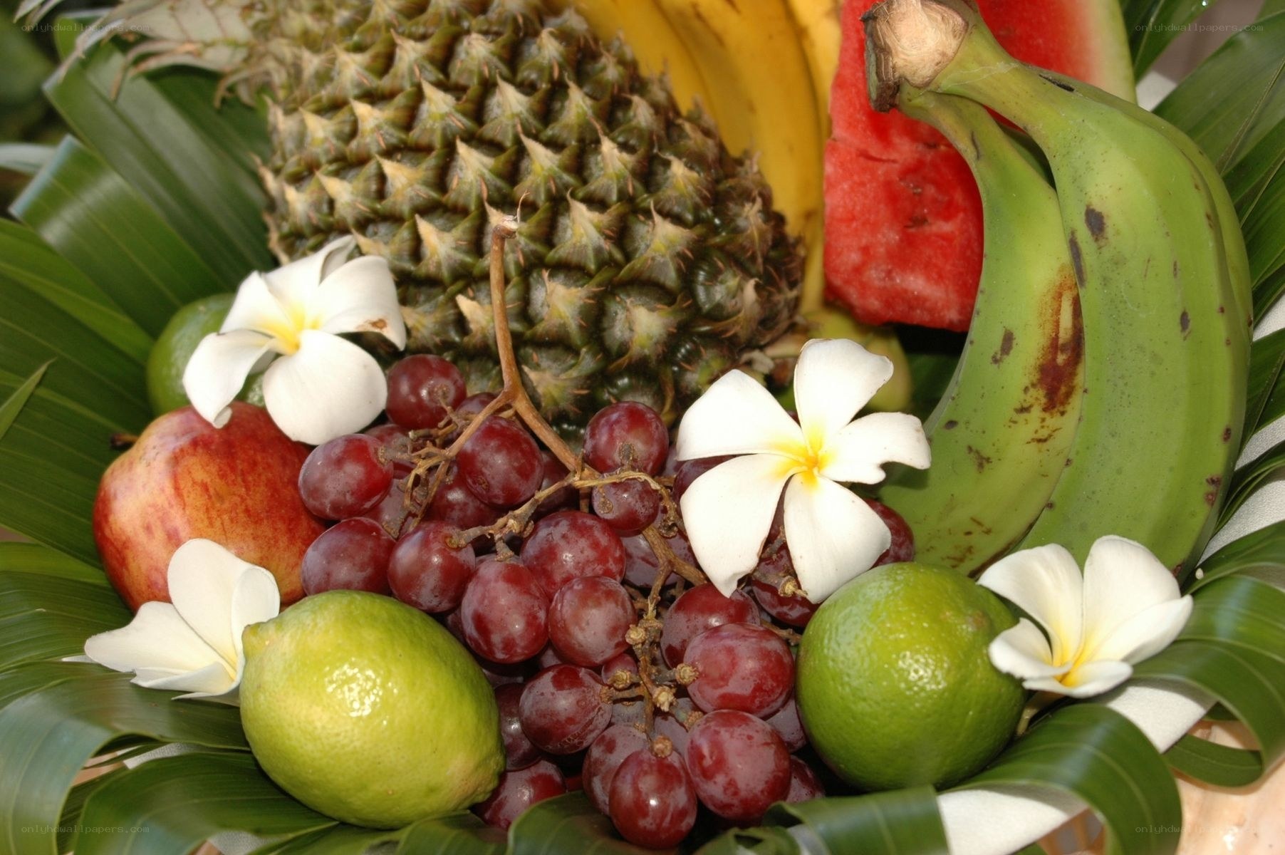 tropical fruit arrangement