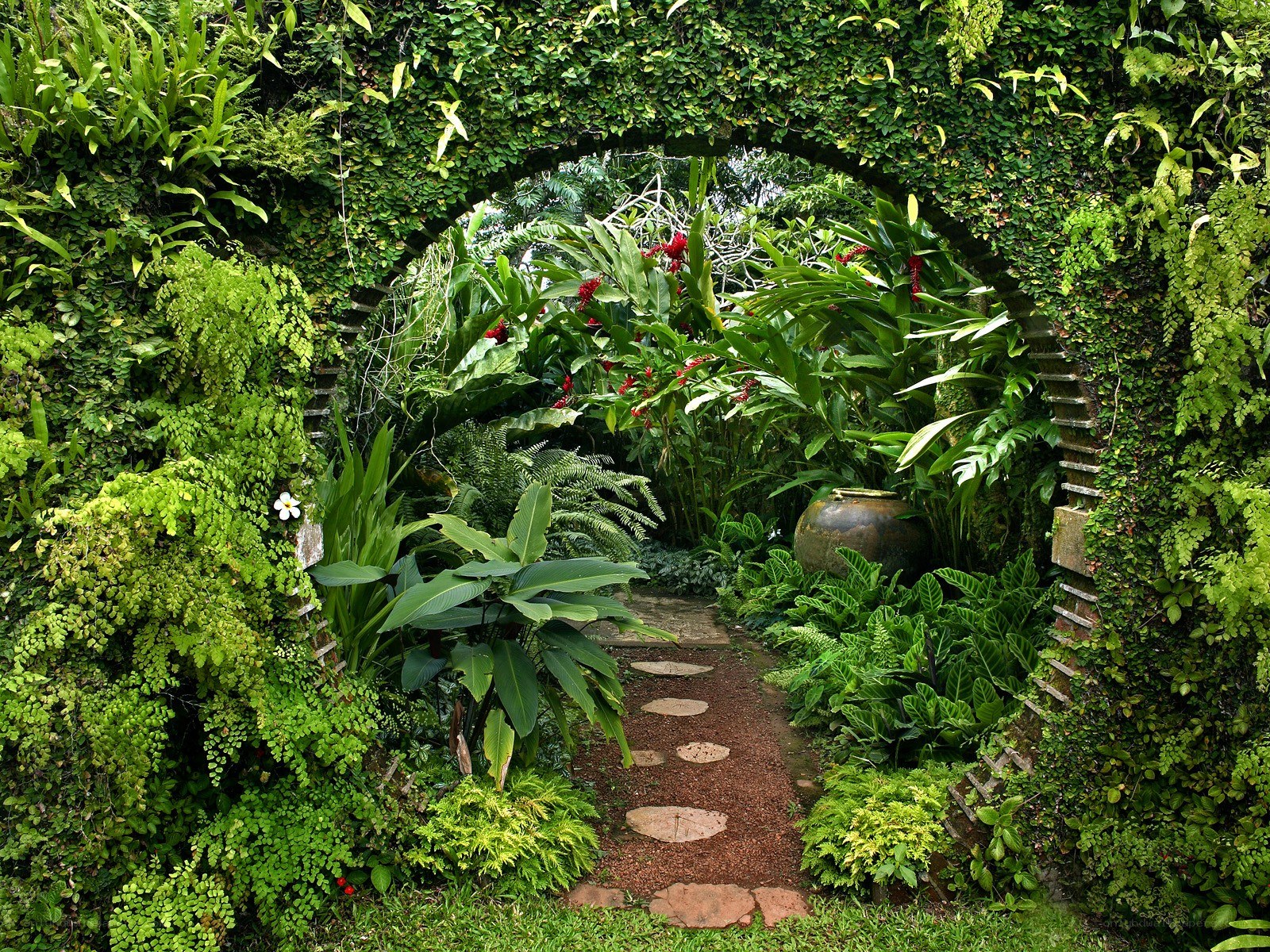 tropical garden archway