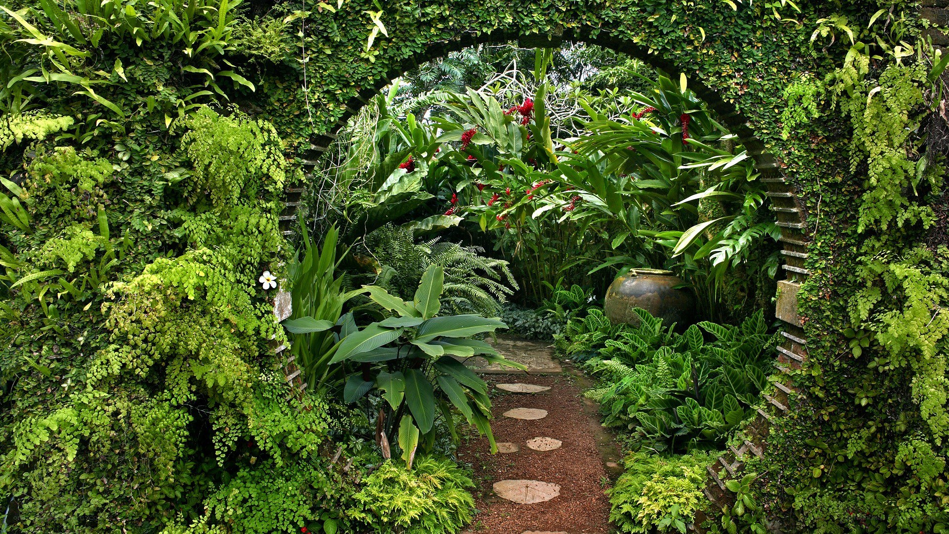 tropical garden archway