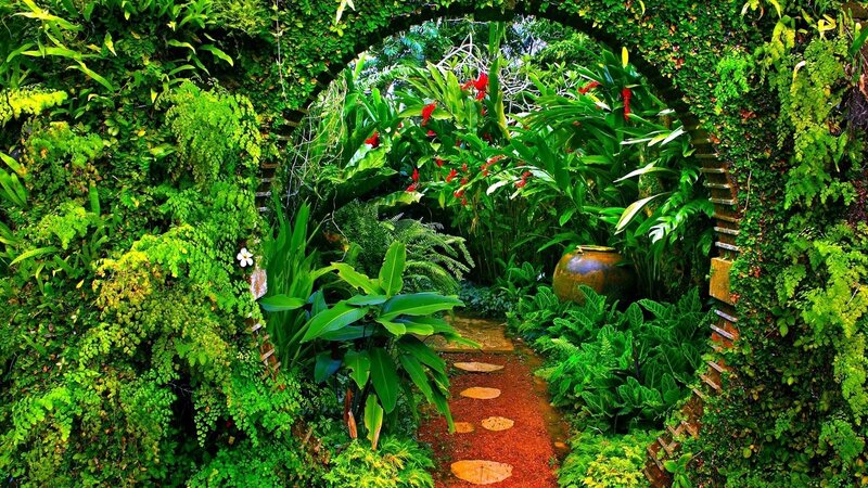 tropical garden archway
