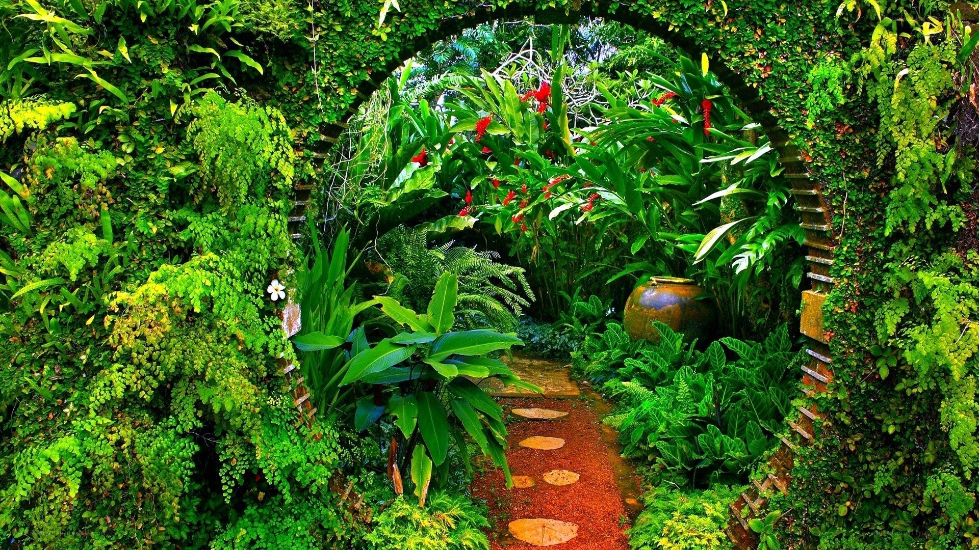 tropical garden archway