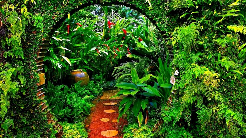 Tropical Garden Archway — Green, Lush