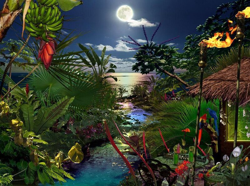 Tropical Garden at Night