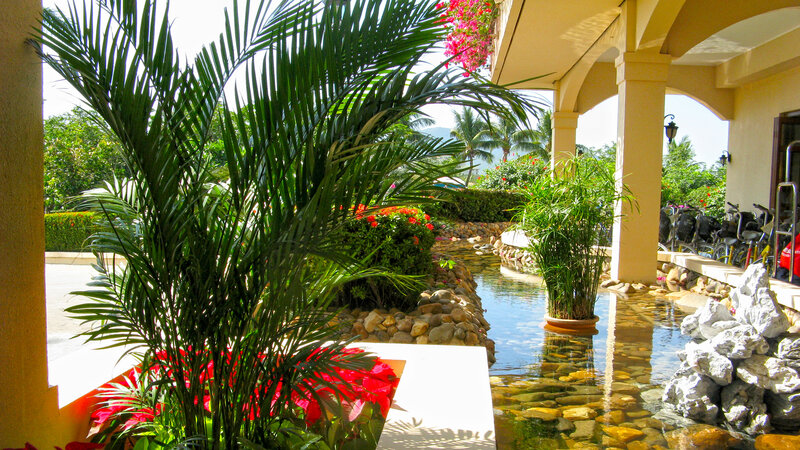 Tropical Garden Courtyard