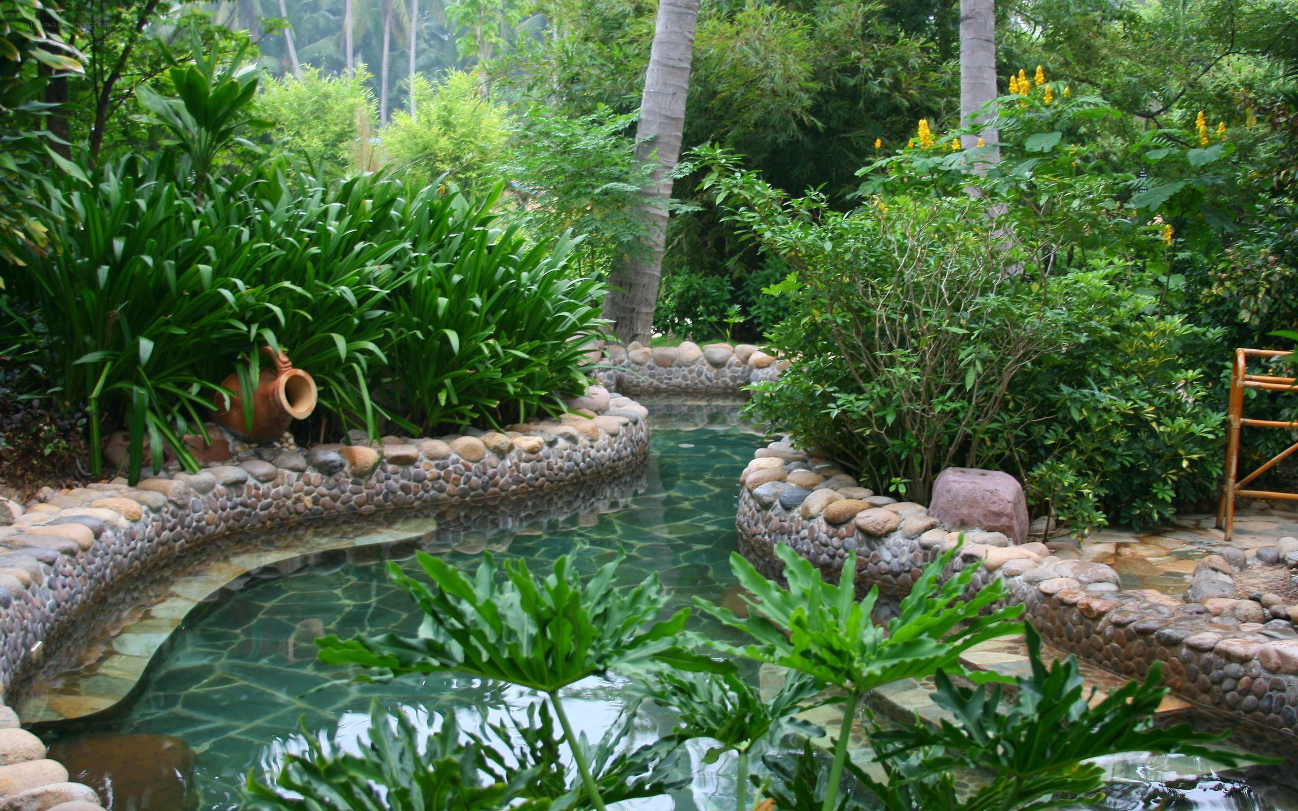 tropical garden hot spring