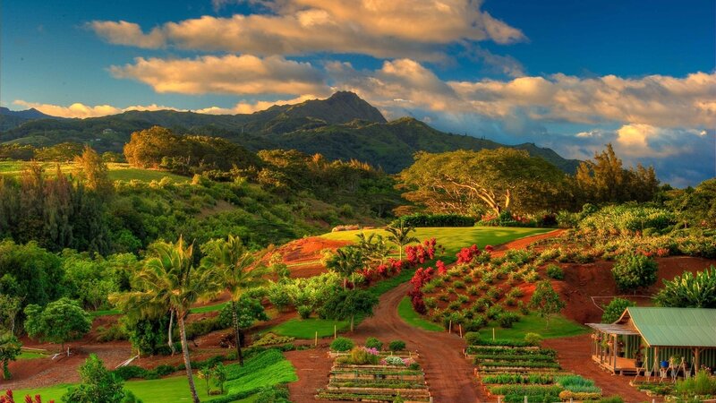 Tropical Garden Landscape
