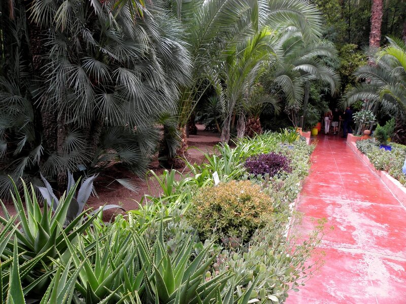 Tropical garden path