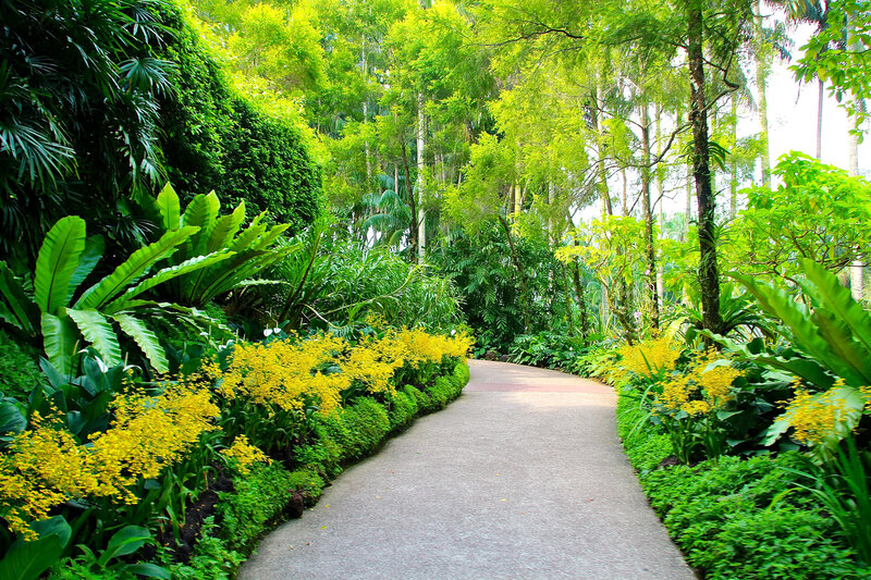 tropical garden path