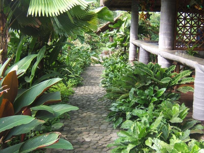 Tropical garden path