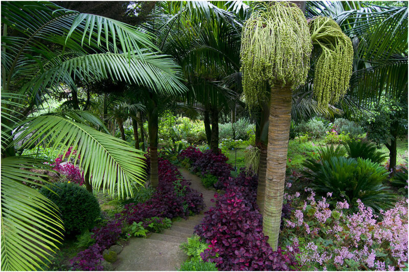 Tropical Garden Path — Green, Serene