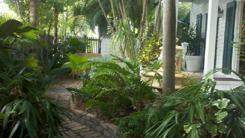 Tropical Garden Path — Green