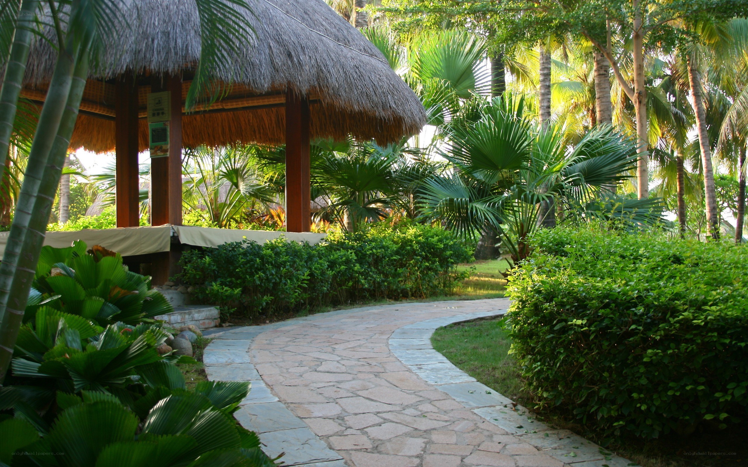 Tropical garden path with thatched gazebo