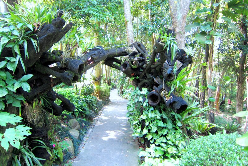 Tropical Garden Pathway