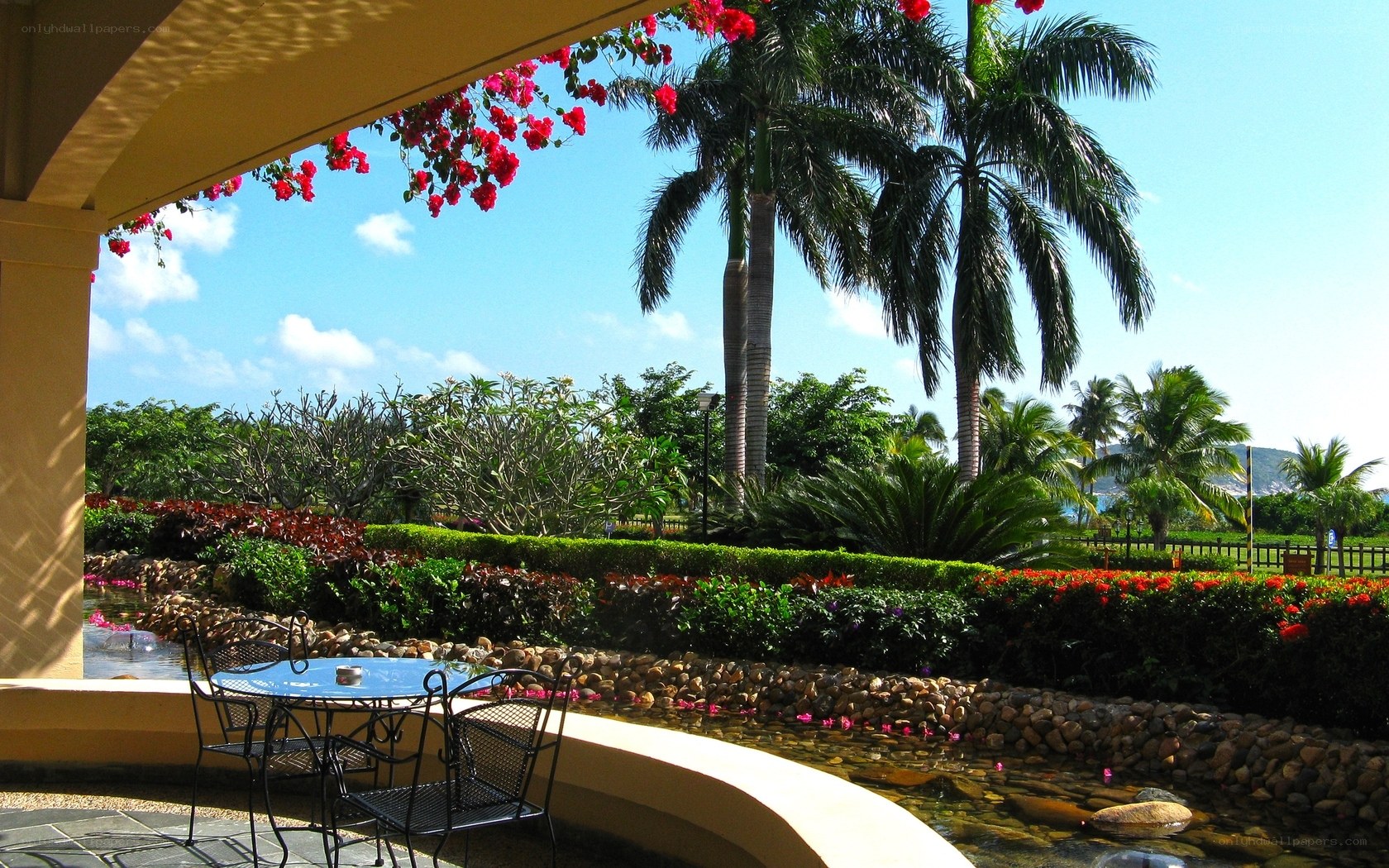 Tropical garden patio view