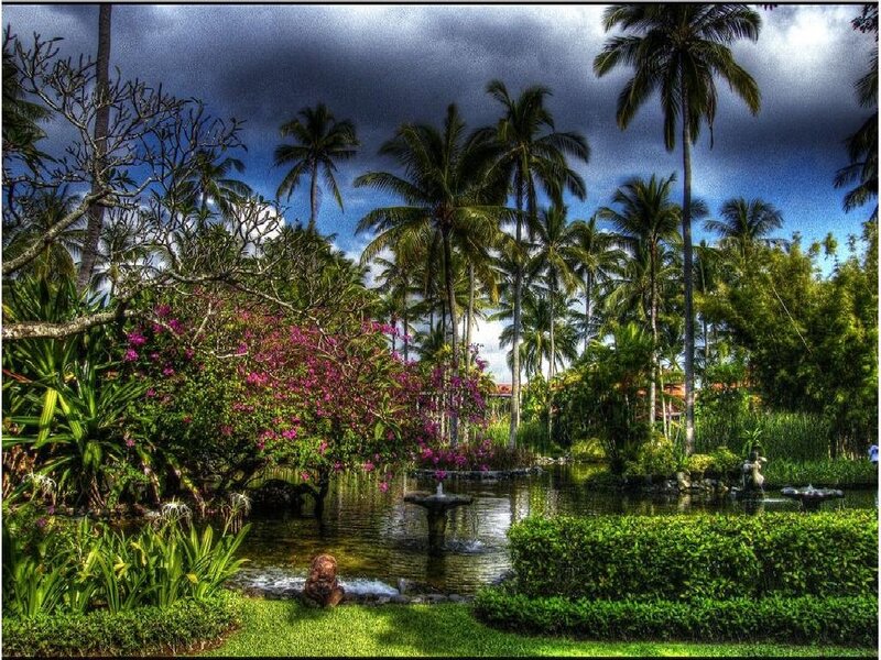 Tropical Garden Pond — Green, Dramatic