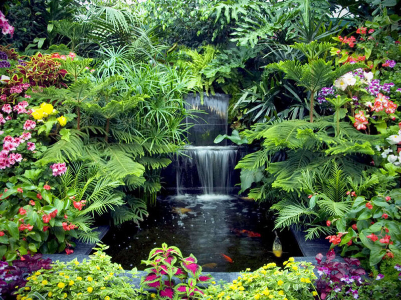 Tropical Garden Pond — Green, Serene, Afternoon, Photograph, Waterfall