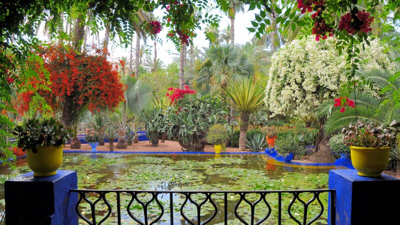Tropical Garden Pond — Green, Serene