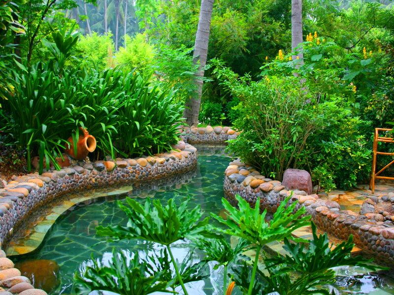Tropical Garden Pond