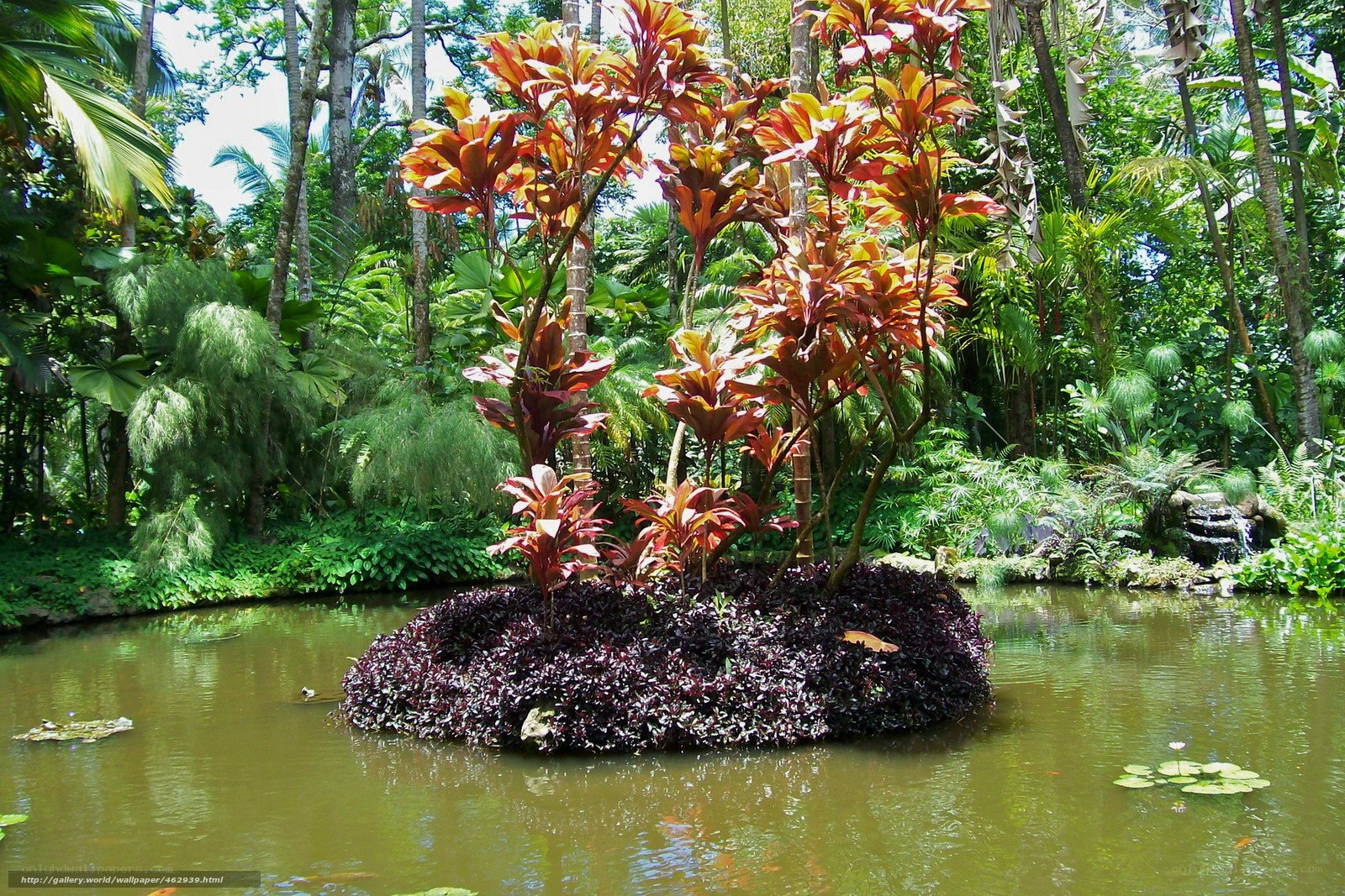 Tropical garden pond with red plants