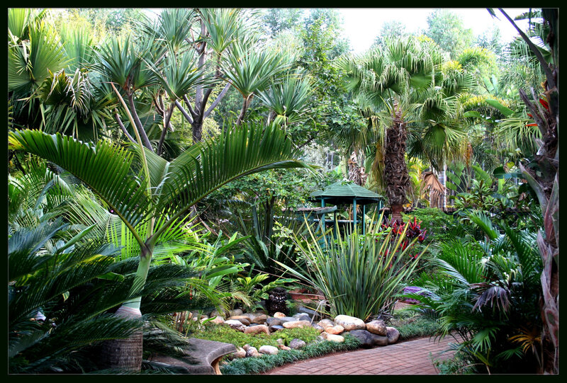 Tropical Garden Scene — Green, Serene
