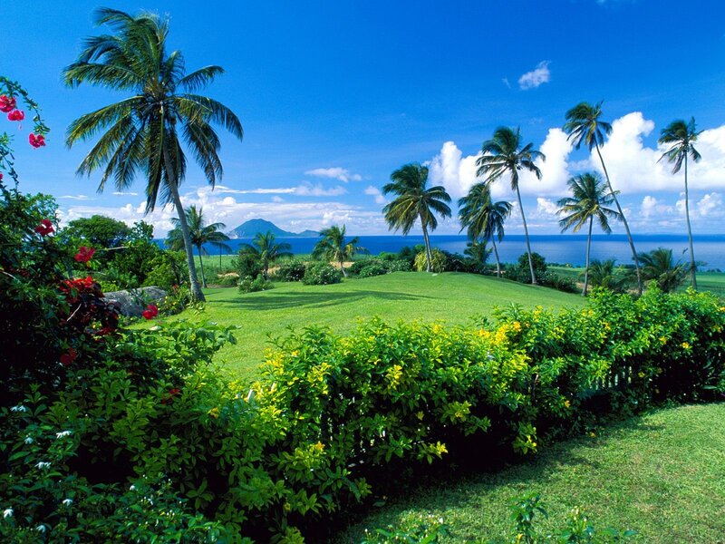 Tropical Garden View — Green