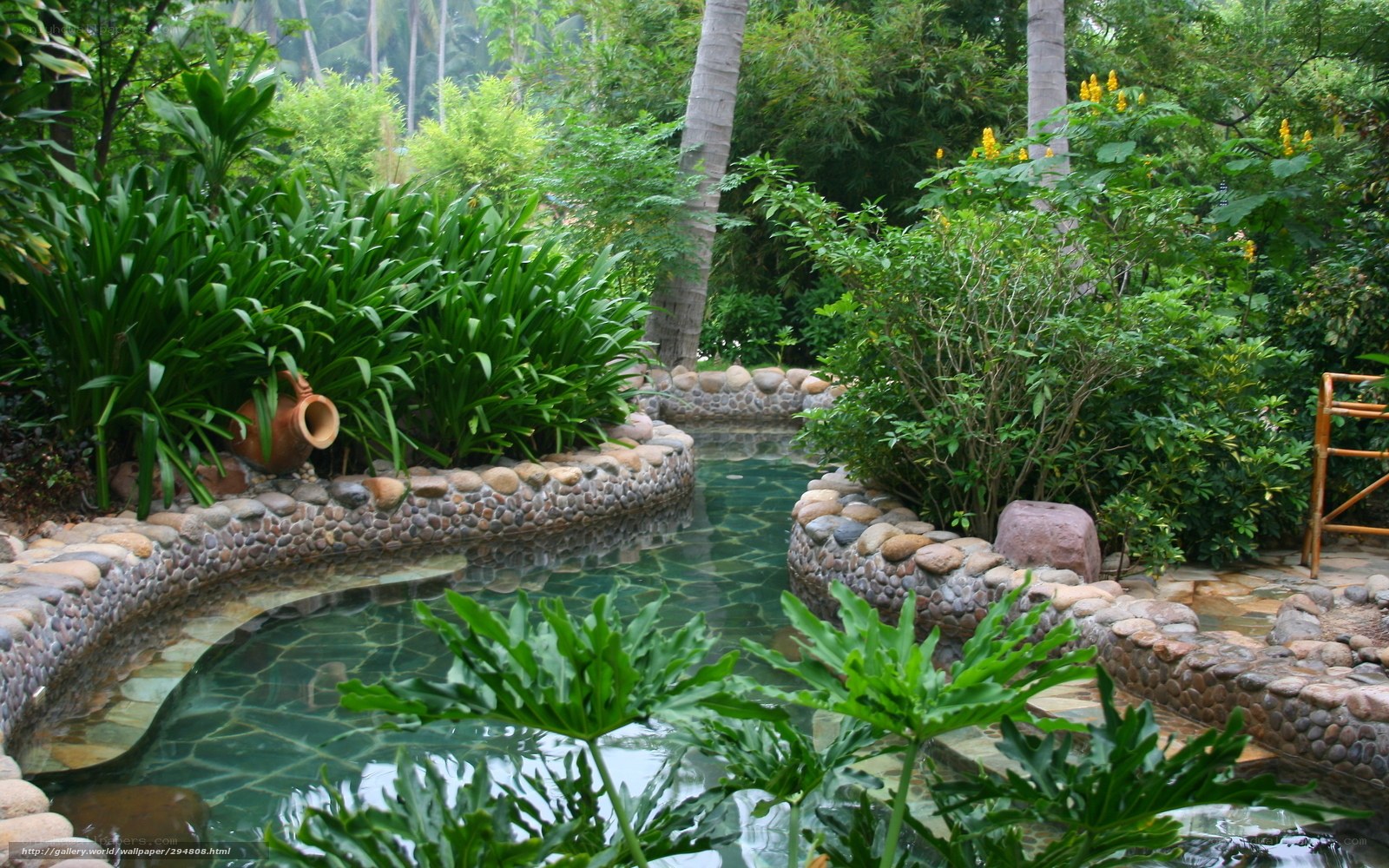 tropical garden water feature
