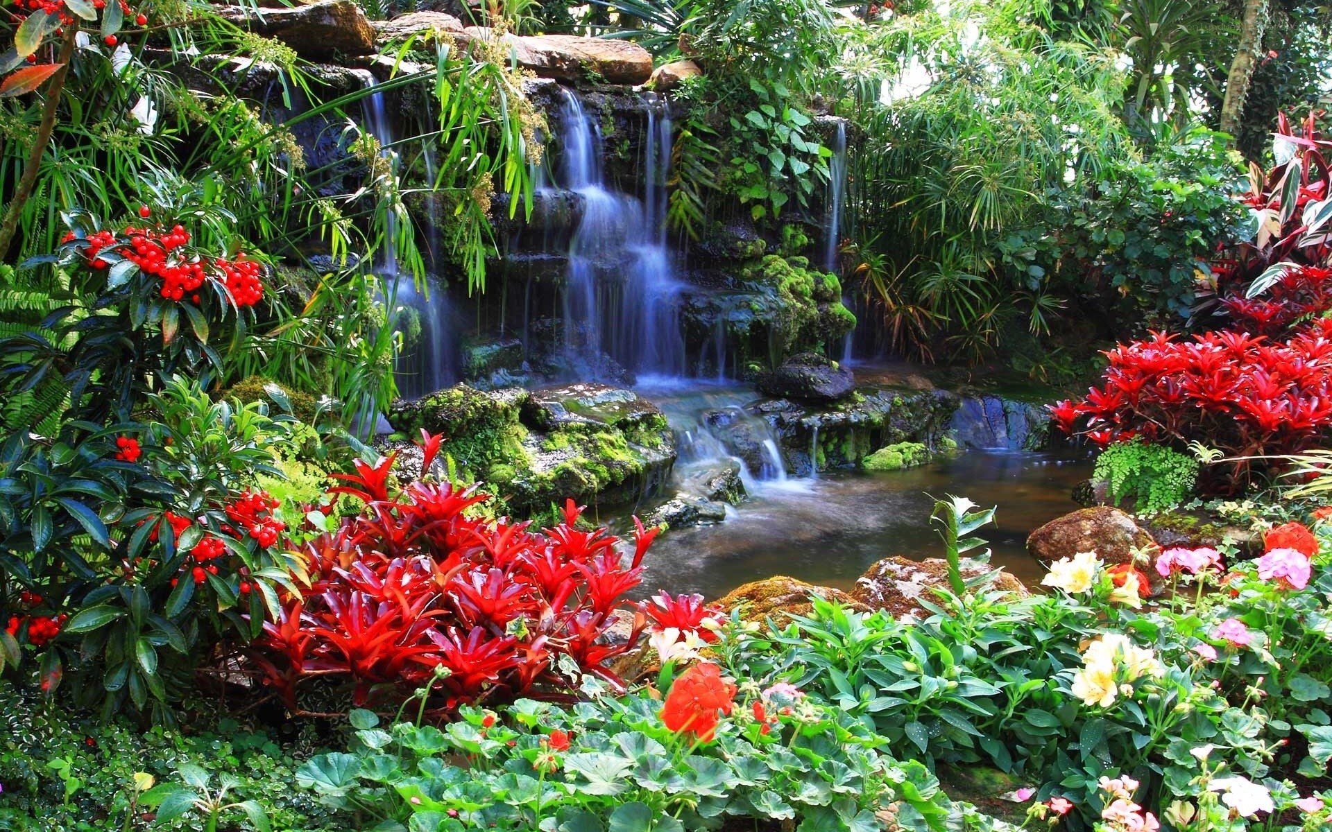 Tropical garden waterfall