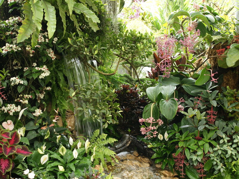 Tropical Garden Waterfall — Green, Serene, Afternoon, Photograph, Plants