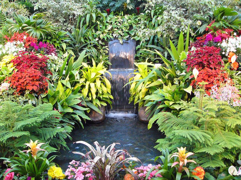 Tropical Garden Waterfall — Green, Serene, Afternoon, Photograph