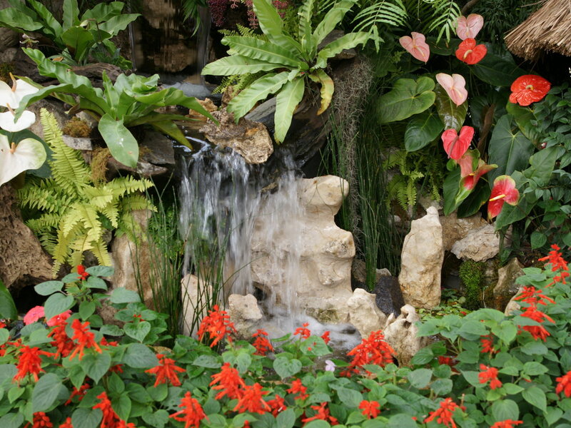 Tropical Garden Waterfall — Green, Serene, Photograph