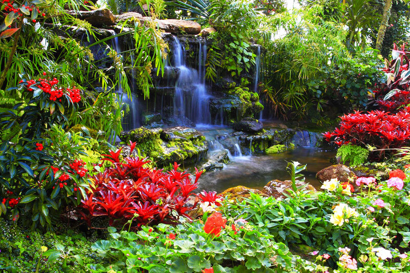Tropical Garden Waterfall — Green, Serene