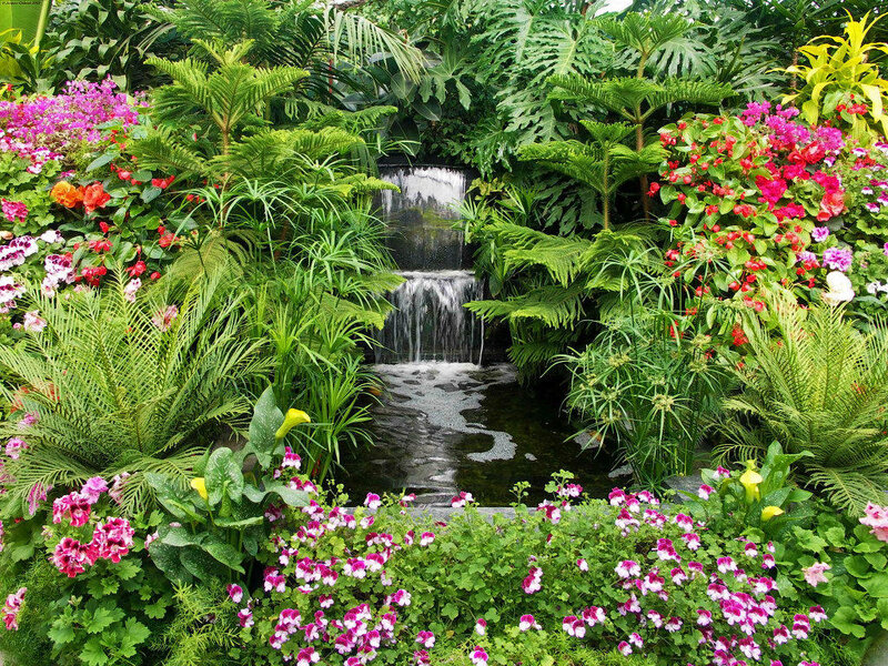 Tropical Garden Waterfall — Green