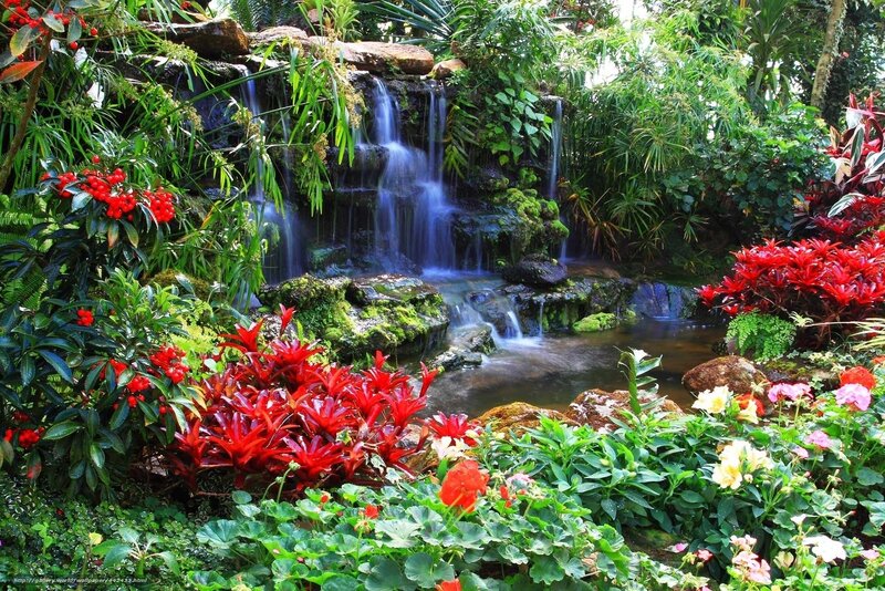 Tropical garden waterfall scene