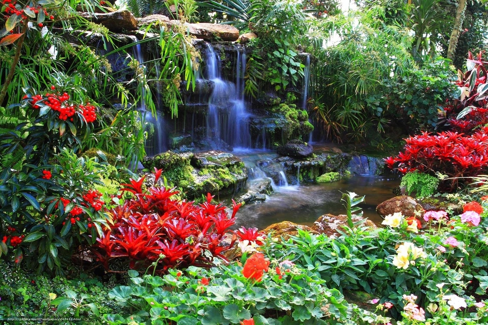 Tropical garden waterfall scene