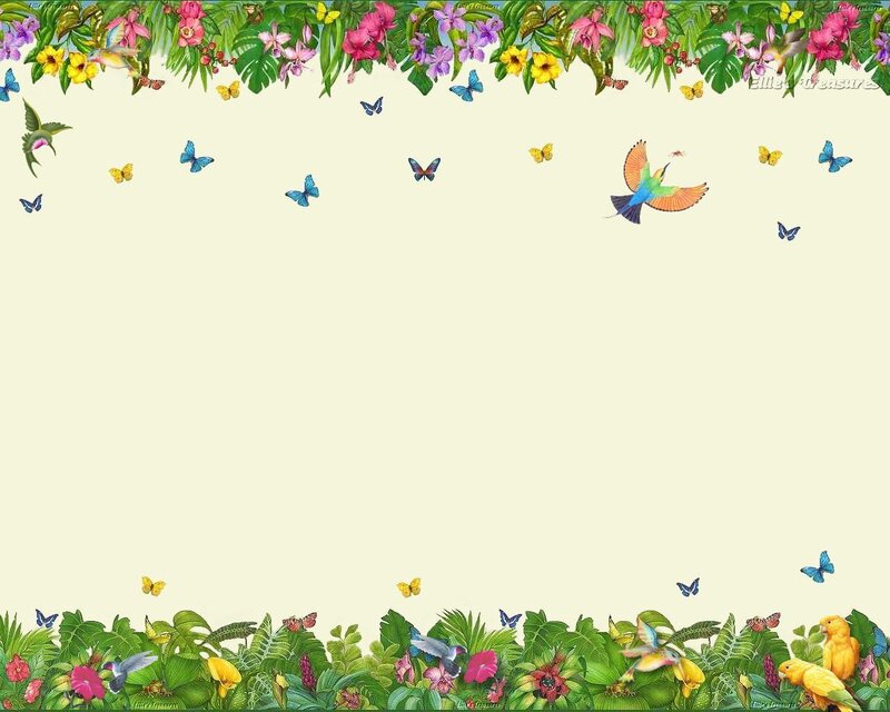 tropical garden with birds and butterflies