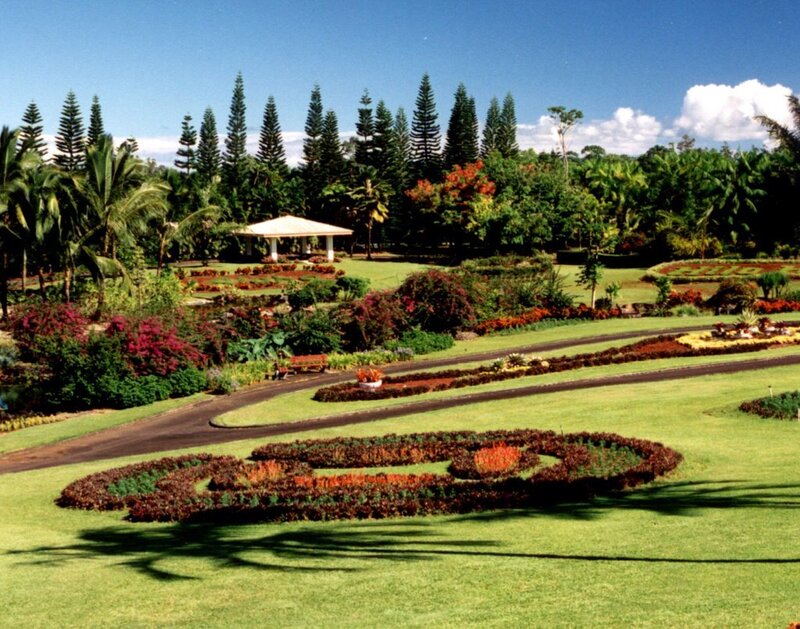 tropical garden with flower beds
