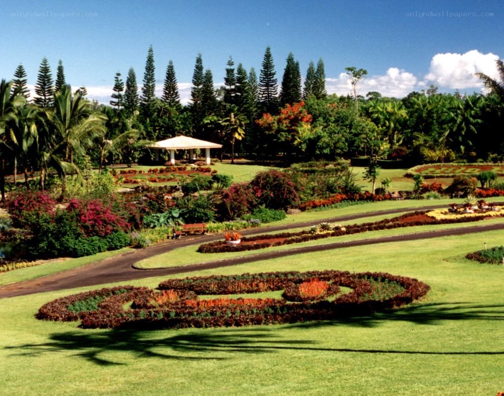 tropical garden with flower beds