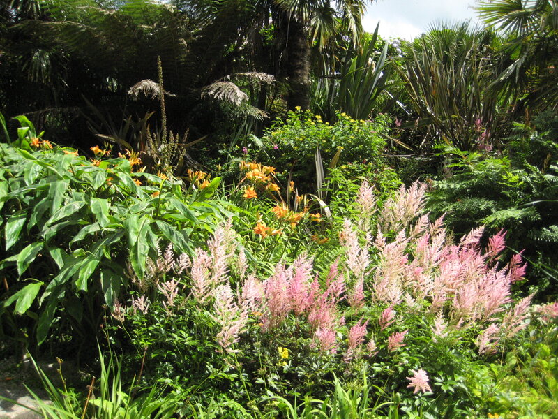 Tropical Garden with Flowers