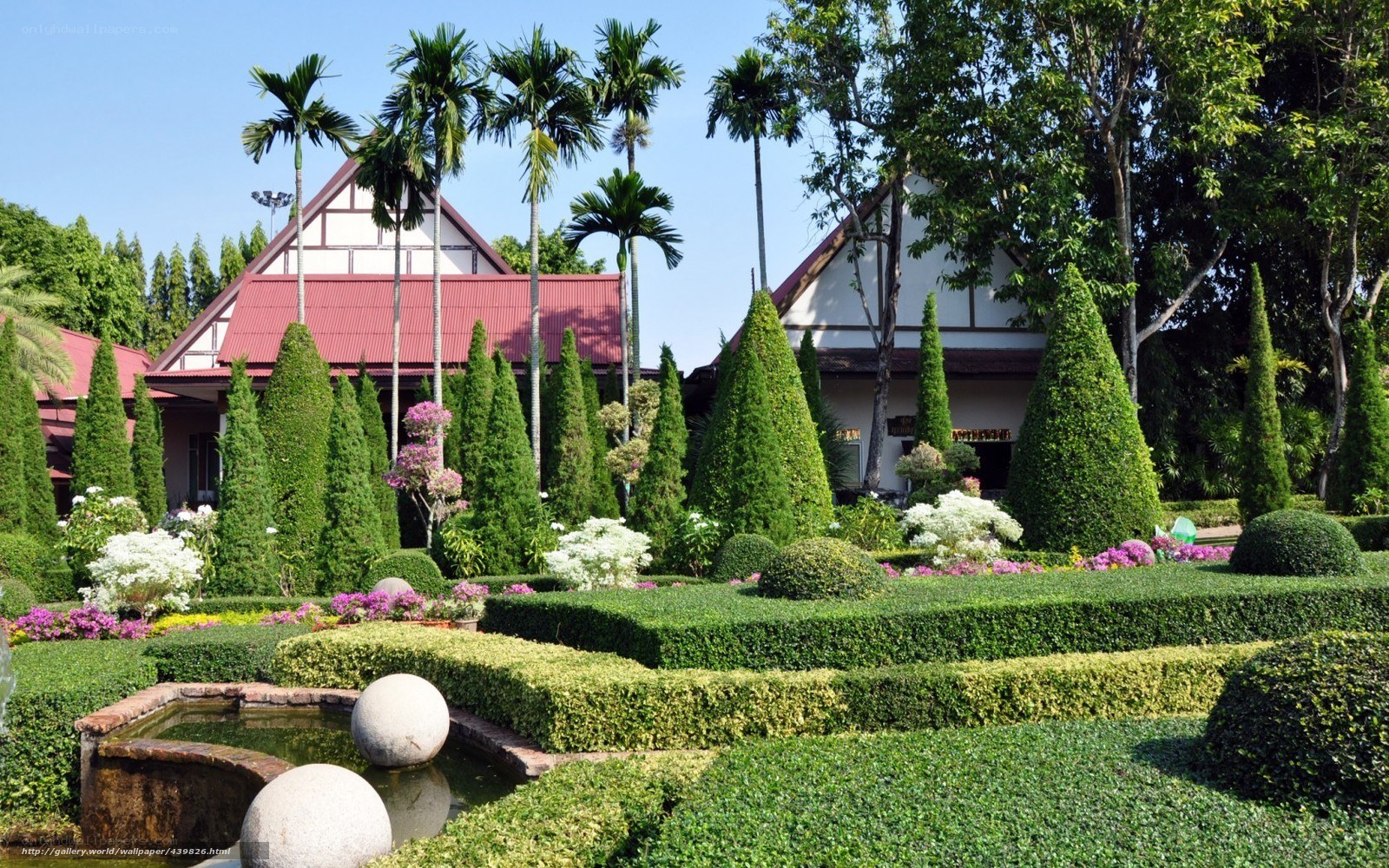 tropical garden with fountain