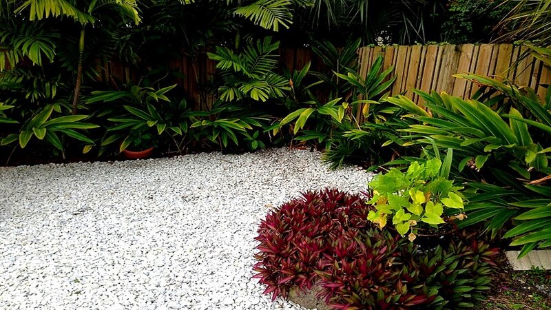Tropical Garden with Gravel